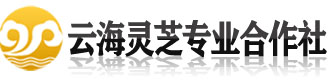 []云海灵芝专业社(娄底市分公司)