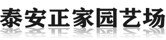 [莱芜]正家园艺场(莱芜市分公司)