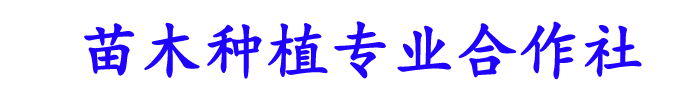 [玉林]苗木种植专业社(玉林市分公司)