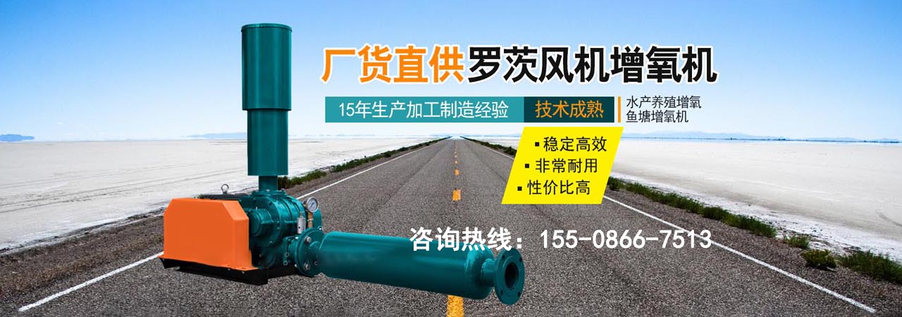 罗茨风机